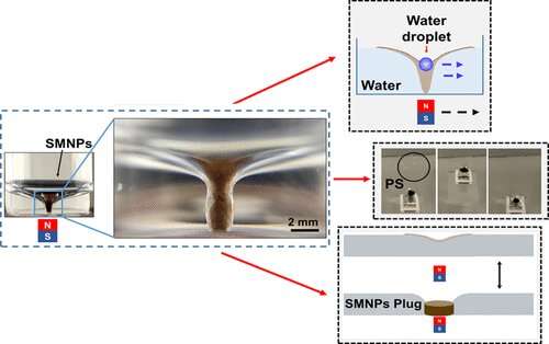 Using a magnetic field to remotely control the air-water interface