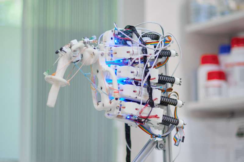 Using a robotic shoulder to grow tendon tissue