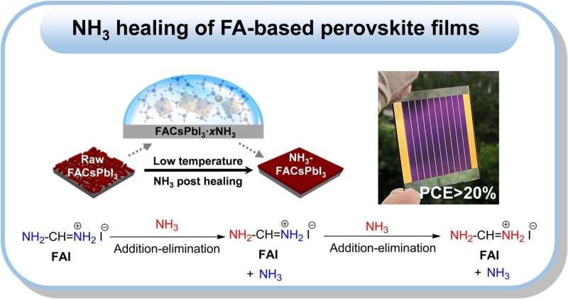 Using ammonia to heal perovskite film for solar panel construction