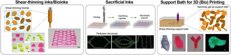 Using colloidal nanodiscs for 3D bioprinting tissues and tissue models
 TOU
