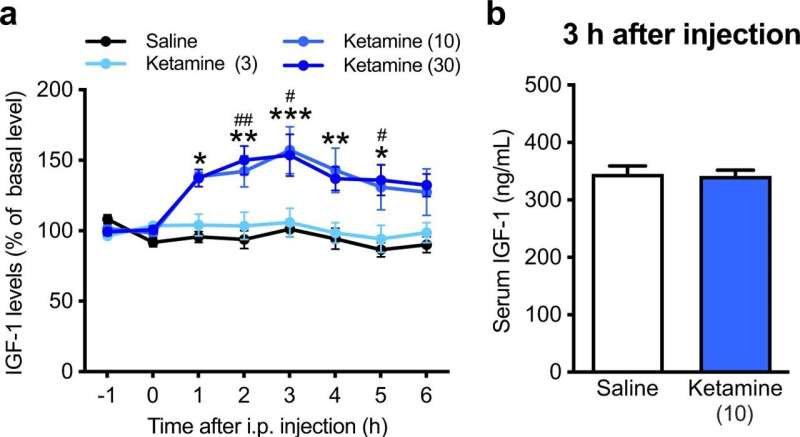 Using ketamine to find an undiscovered pathway in depression