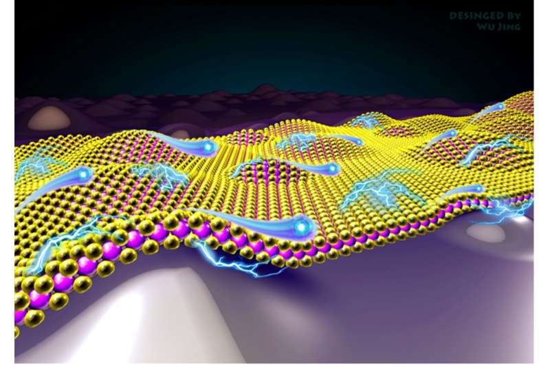 Using lattice distortions to improve carrier mobility in 2D semiconductors