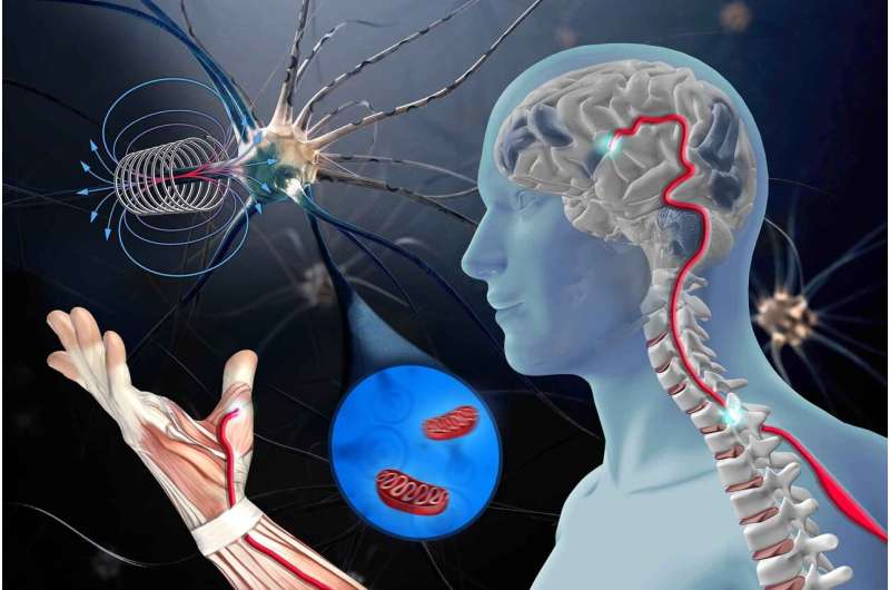 Using pulsed magnetic fields to fight neurodegenerative diseases