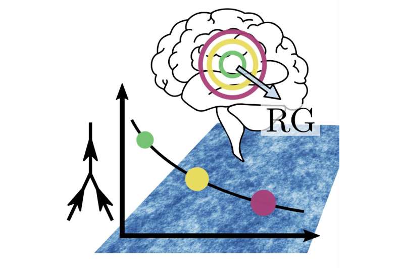 Using Renormalization Group Methods to study how the brain processes information  