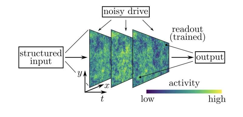Using Renormalization Group Methods to study how the brain processes information  