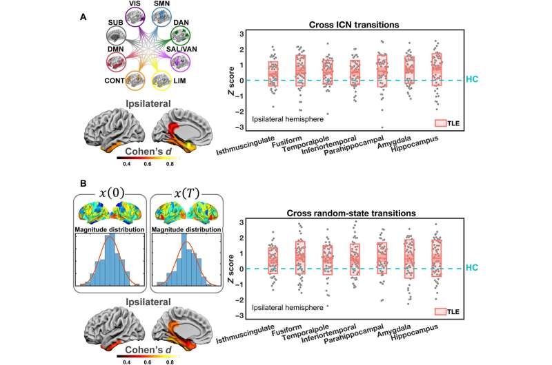USTC reveal the biological basis of network control theory in brain dynamics