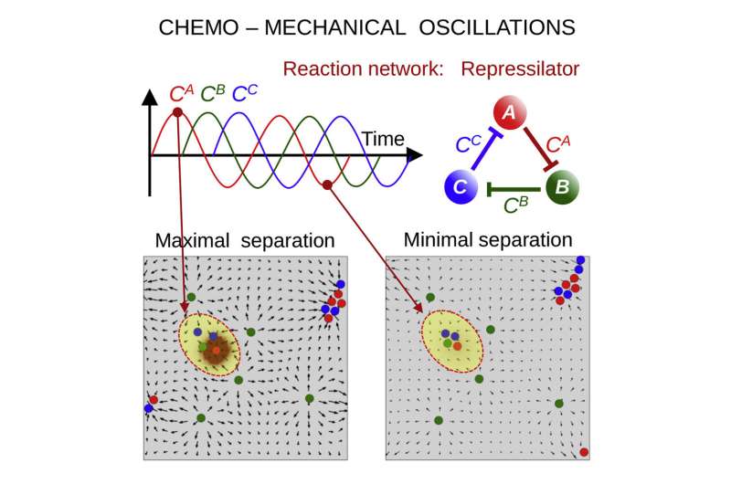 Utilizing chemo-mechanical oscillations to mimic protocell behavior in manufactured microcapsules