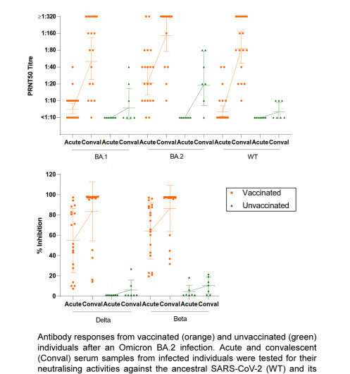 Vaccinated individuals develop more robust and broadly reactive antibody responses against SARS-CoV-2 variants