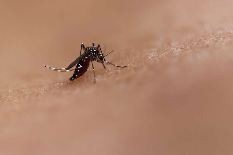 Vaccine for rare but deadly mosquito-borne viruses shows promise in clinical trial