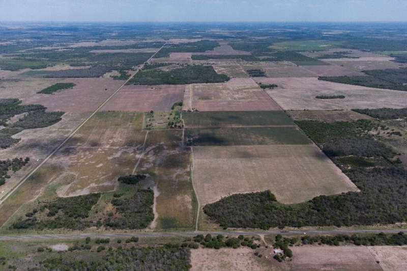 Vast swathes of the Gran Chaco forest have been cut down to make way for soybean and corn crops, as well as livestock