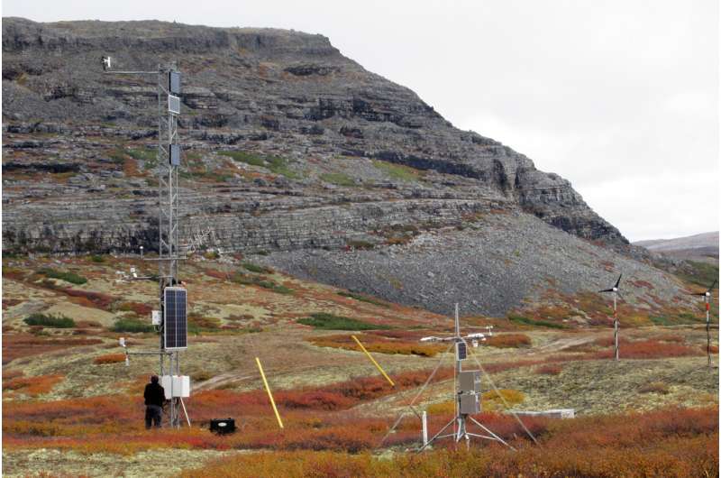 Vegetation regulates energy exchange in the arctic