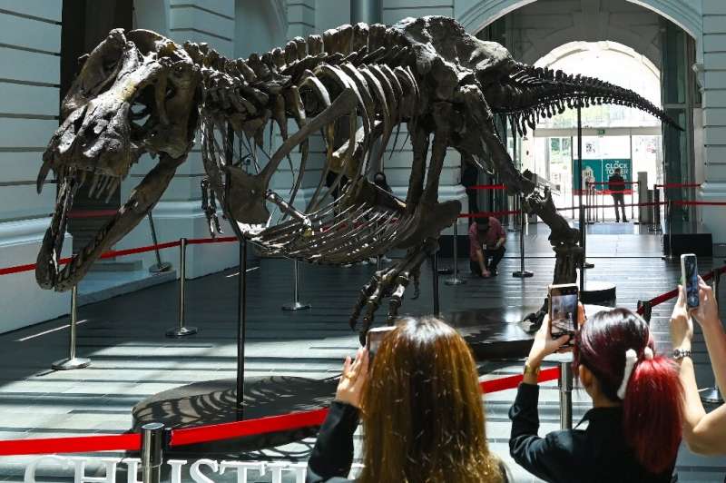 Visitors take pictures of the T-rex skeleton named 'Shen' in Singapore