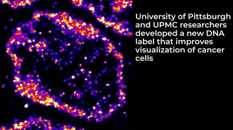 Visualizing the invisible: New fluorescent DNA label reveals nanoscopic cancer features