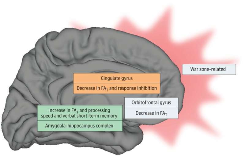 War-zone related stress may lead to changes in the microstructure of the brain