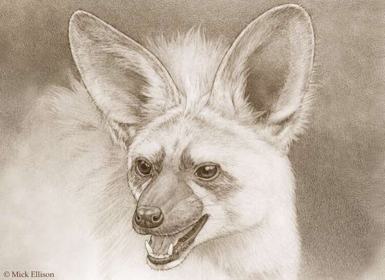 Was this hyena a distant ancestor of today’s termite-eating aardwolf?