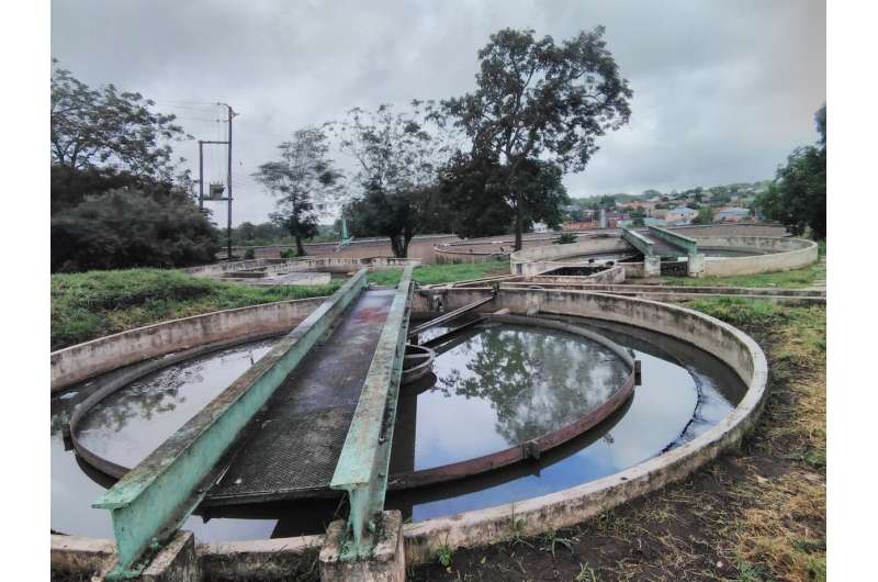 Wastewater an untapped resource in COVID-19 fight