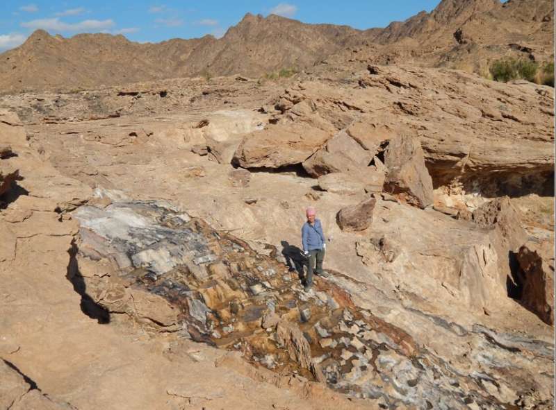 Weathering rocks have traces of the Earth's great oxidation event