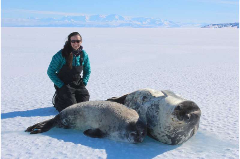 Mothers of Weddell seals sacrifice their ability to dive to provide their pups with iron: climate change could make seals more vulnerable