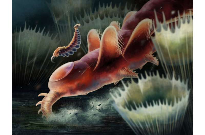 Welsh “weird wonder” fossils add piece to puzzle of arthropod evolution