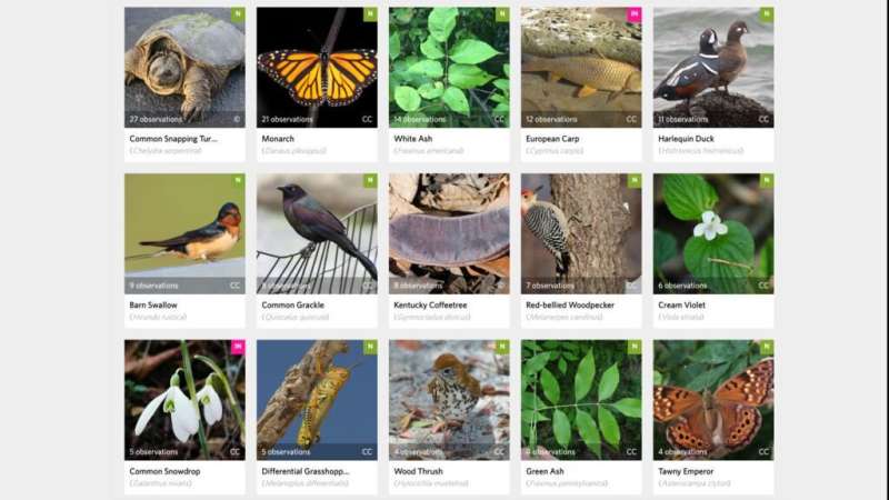 Western biologists crowdsource biodiversity data