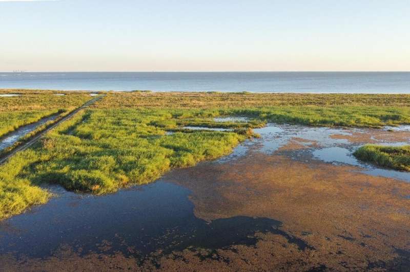 Wetlands are seen along the Gulf of Mexico near the Louisiana-Texas border, an area with numerous proposed liquefied natural gas