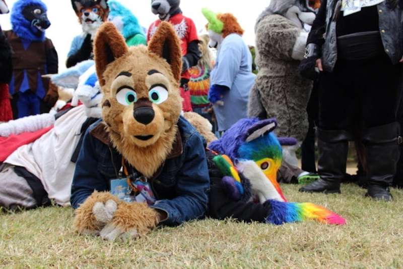What are 'furries?' Debunking myths about kids identifying as animals, and litter boxes in schools