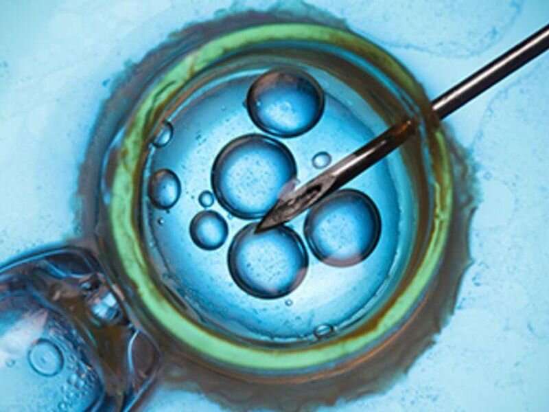 What do bans on abortion mean for people using IVF?