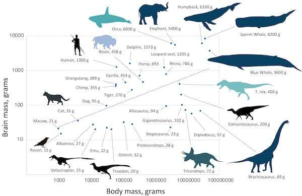 What if the dinosaurs did not become extinct?  Why our world might look so different