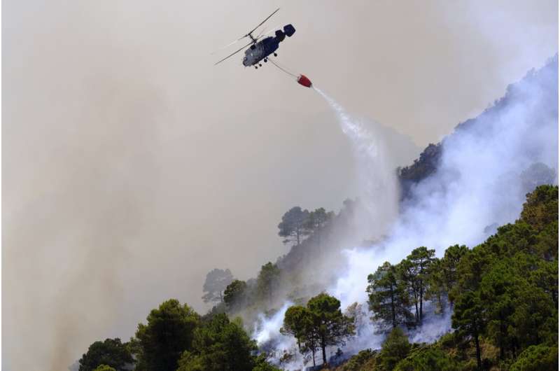 What's behind Europe's spate of deadly wildfires?