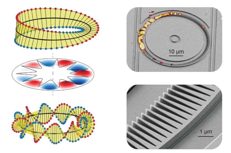 Whispering gallery modes with fractional optical angular momentum in photonic crystal micro-rings 