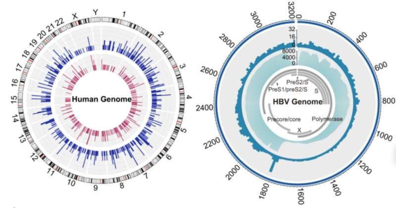 Whole genome sequencing helps BGI Genomics-led team release the first Chinese population blood atlas