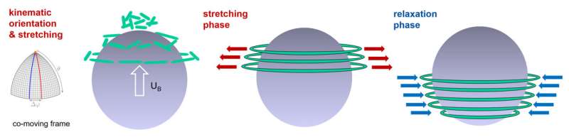 Why bubbles in viscoelastic liquids move faster