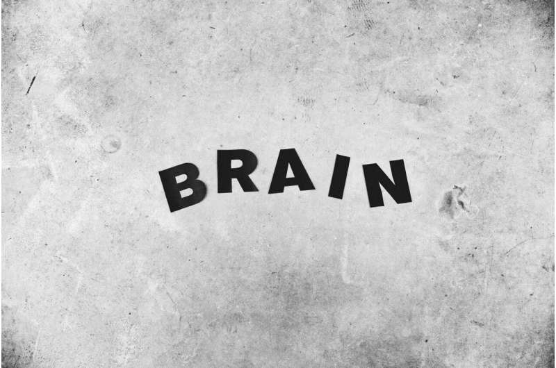 چرا حافظه ترس در مغز ما حبس شده است؟