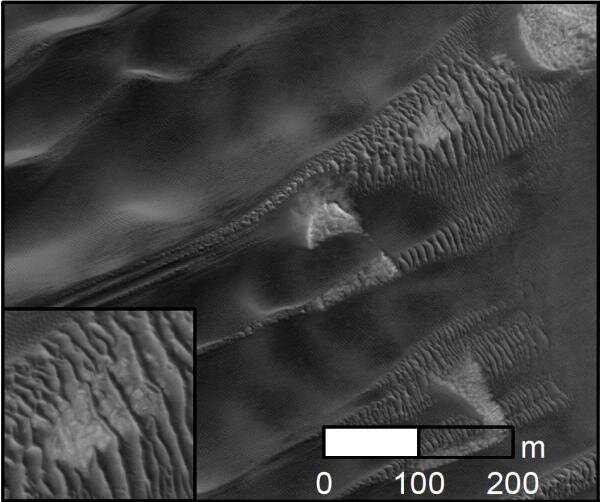 Extensive mega-ripple activity in the Arctic region of Mars