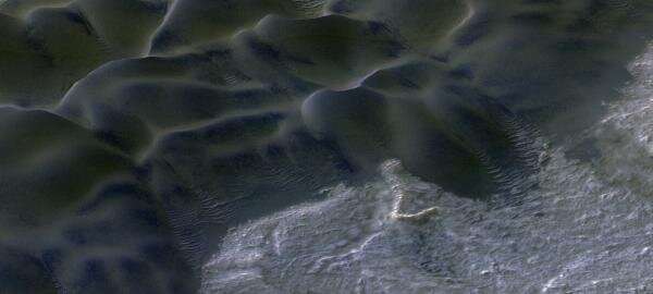 Widespread Megaripple Activity on Martian North Pole Area