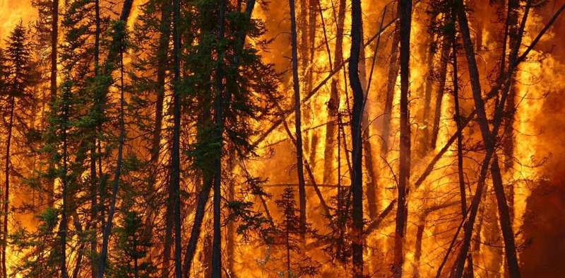 Wildfire risk has grown nearly everywhere — but we can still influence where and how fires strike