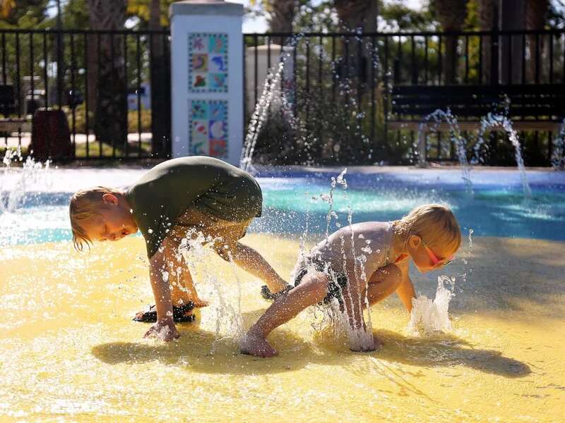 Wildlife park's 'Splash pad' source of severe gastro infections in kids