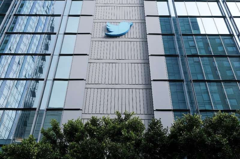 Will Twitter's blue bird soar under Elon Musk's ownership?