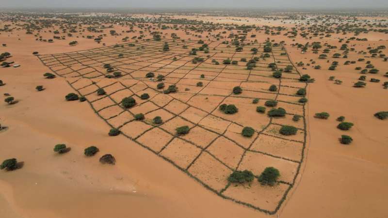 World “at a crossroads” in management of droughts, up 29% in a generation and worsening: UN