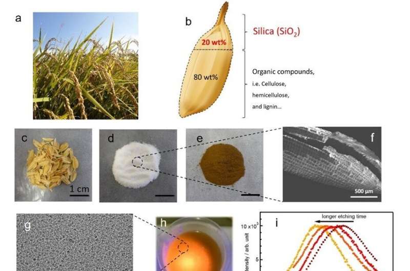 World's first LED lights developed from rice husks
