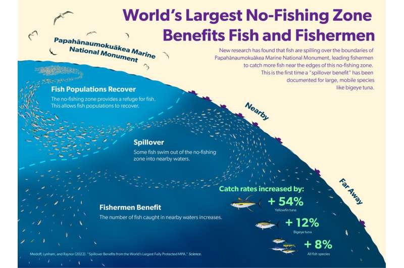 La zona de no pesca más grande del mundo beneficia a los peces y a los pescadores