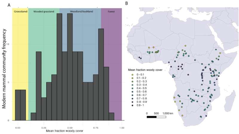  Grassland expansion was not a main driver of mammal evolution in Plio-Pleistocene Africa