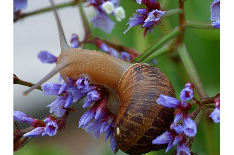 : Quantum coherence; rising coal emissions; "More uses of snail mucus are being discovered every day"