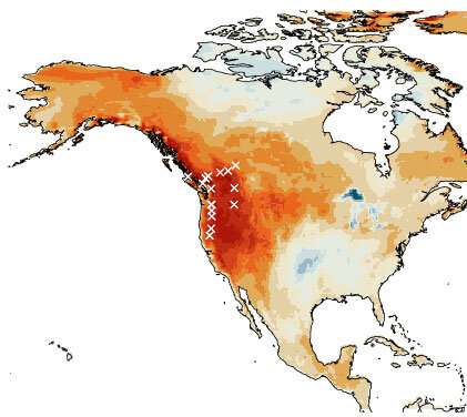 1,000-plus years of tree rings confirm historic extremity of 2021 western North America heat wave