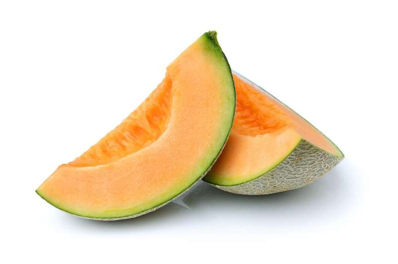 17 people hospitalized in salmonella outbreak linked to cantaloupes