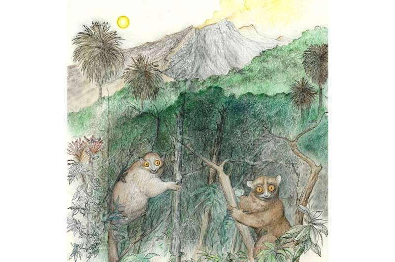 2 new species of ancient primates identified that resembled lemurs