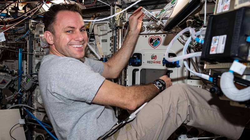 3D bioprinter to print human meniscus on the space station