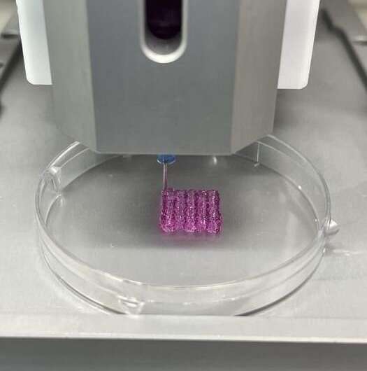 3D bioprinting technology to be used for removing cancer cells