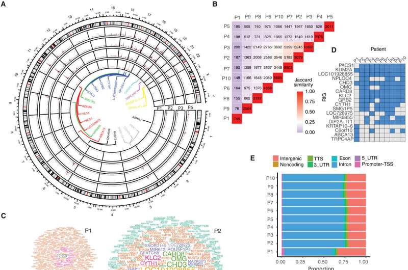 3D genome architecture influences SCID-X1 gene therapy success