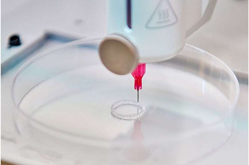 3D printing of heart valves: A major breakthrough by a research team